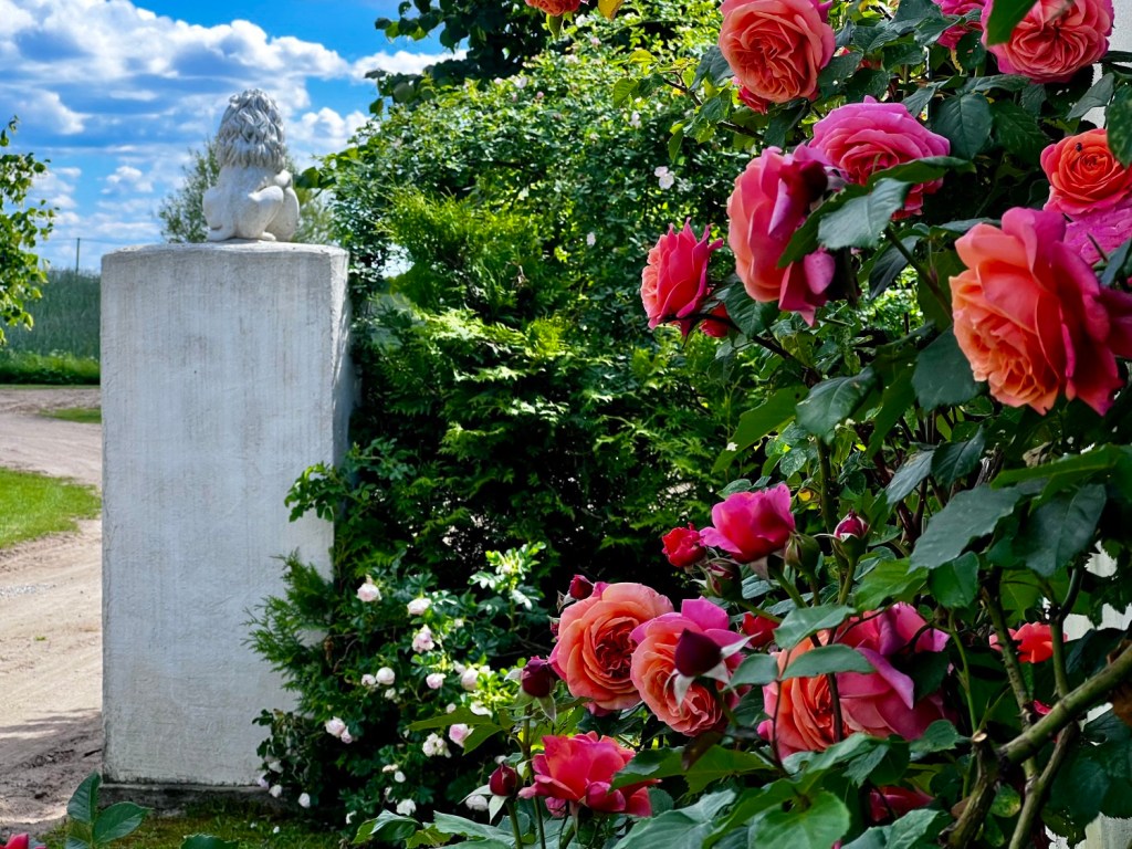 Kāzu cermoniju vieta Kuldīgā
